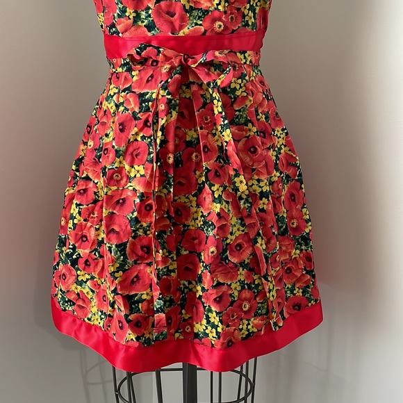 Apron - Picture 5 of 5